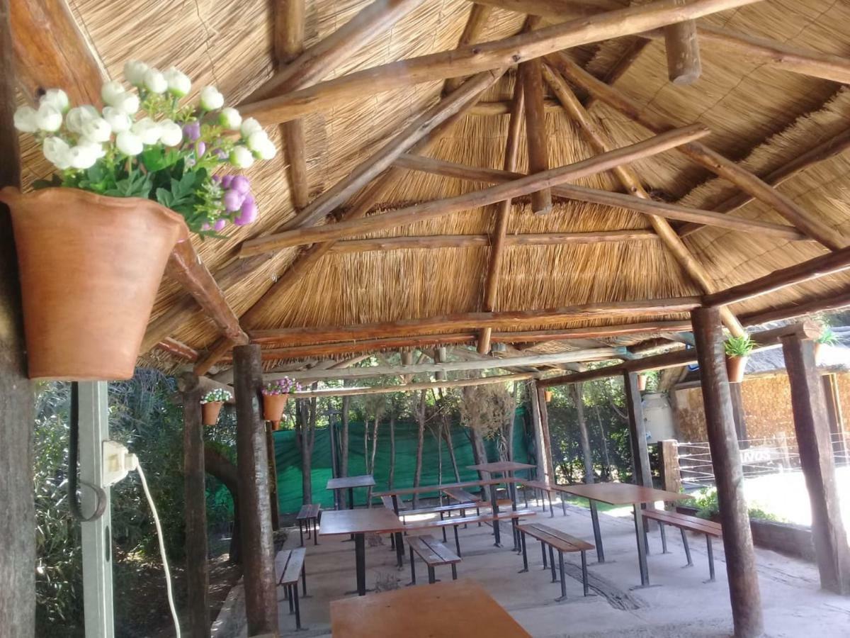 Cabanas Alto Bermejo Villa Mendoza Kültér fotó
